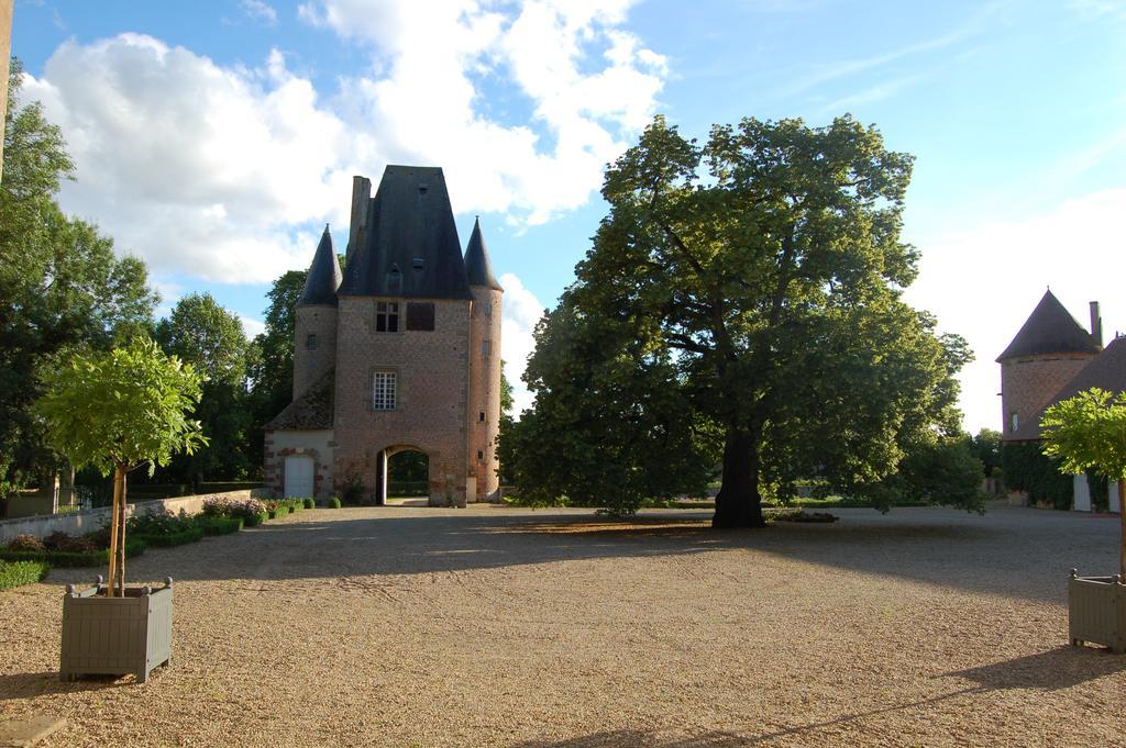 Villeneuve-sur-Allier Chateau Du Riau B&B 외부 사진