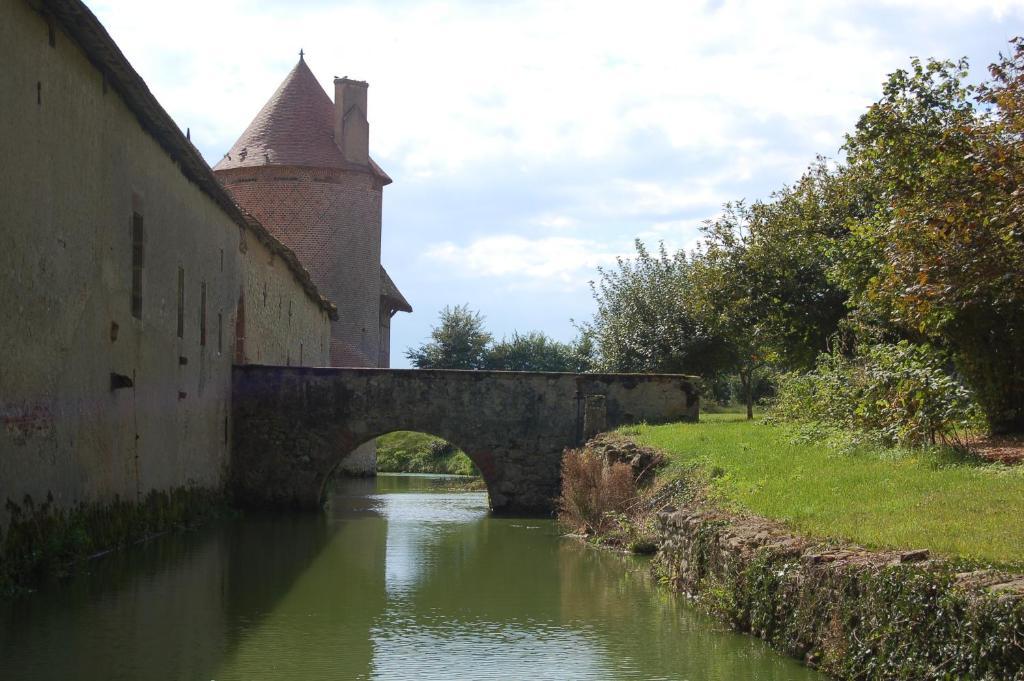 Villeneuve-sur-Allier Chateau Du Riau B&B 외부 사진