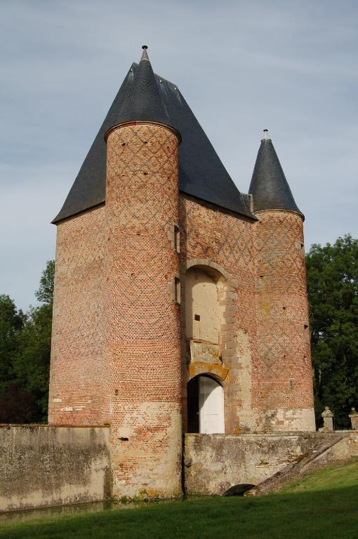Villeneuve-sur-Allier Chateau Du Riau B&B 외부 사진