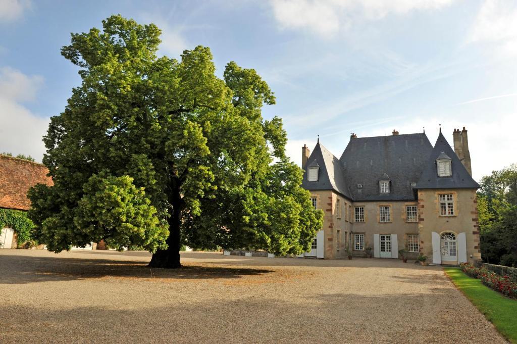Villeneuve-sur-Allier Chateau Du Riau B&B 외부 사진